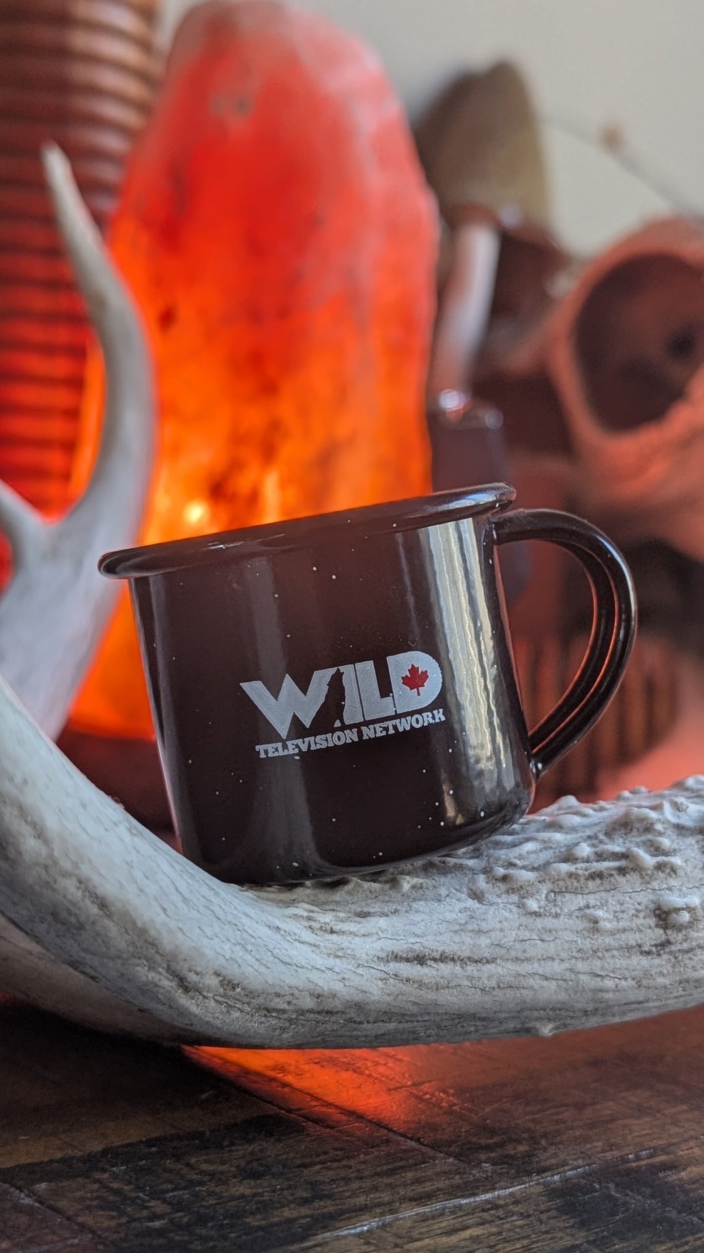 Wild TV Espresso Mugs